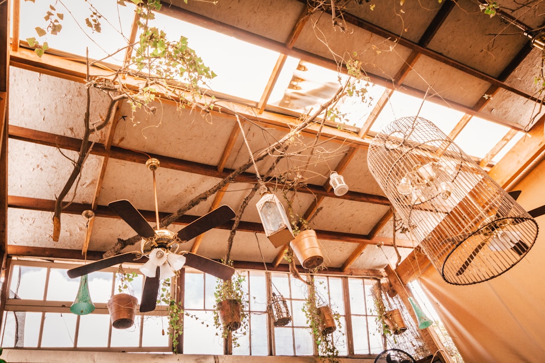 The ceiling of an open-air cafe is adorned with hanging birdcages, plants in planters, and rustic chandeliers made from vintage fans and wire trims. The sun shines through the skylight, creating a warm ambiance. This photo was taken using a Canon EOS R5 mirrorless camera. –ar 128:85