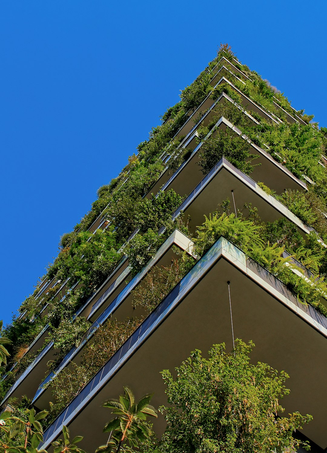 A tall building with balconies and lots of greenery growing on the sides against a blue sky, in the style of modern architecture with an organic style, captured with high resolution photography, a piece of architectural photography. –ar 23:32