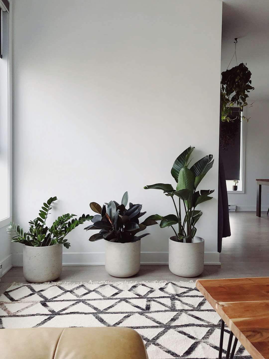 A photo of large plants in white planters placed on the floor, with a rug beneath them featuring black and grey geometric patterns, against an empty wall, depicting a modern living room decor with a neutral color palette and natural light coming from windows in the style of modern living room decor. –ar 3:4