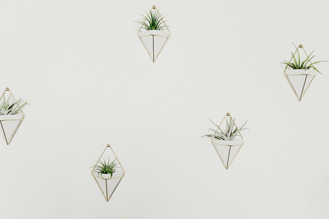 A white wall with five small brass and frosted glass planters hanging on it, each holding an air plant or succulent in the shape of a triangle. The background is plain white, creating a clean aesthetic. This image has been created using a high-resolution camera with a macro lens to capture intricate details of the plants inside the geometry. It should have a minimalist style, focusing more on geometric shapes than realistic textures in the style of a minimalist artist.