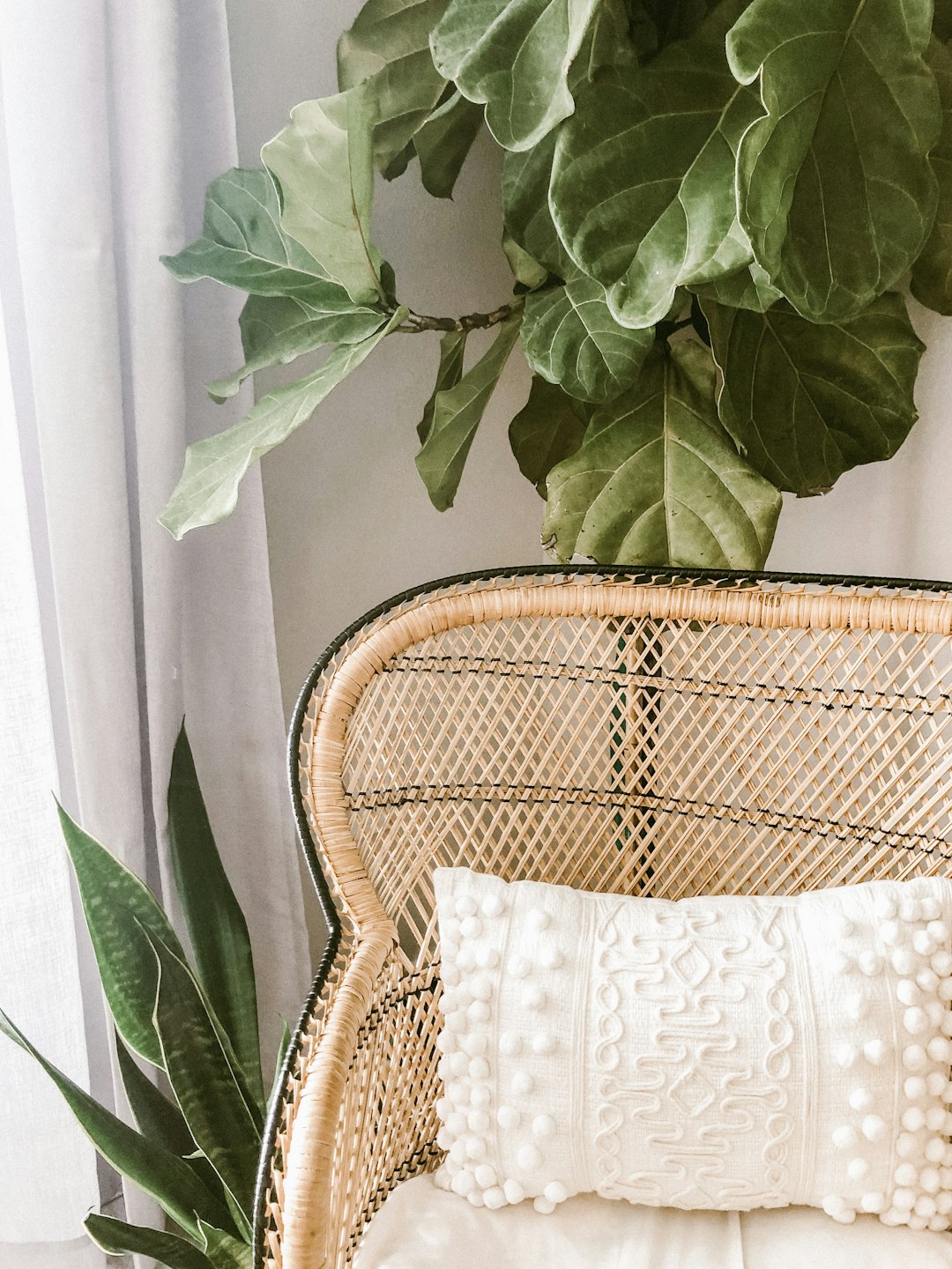White bohemian wicker chair with a white embroidered cushion, a plant in the background, bohemian style interior design photography, bokeh effect, a fiddle leaf fig tree, aesthetic home decor photography in the style of trending on Instagram.