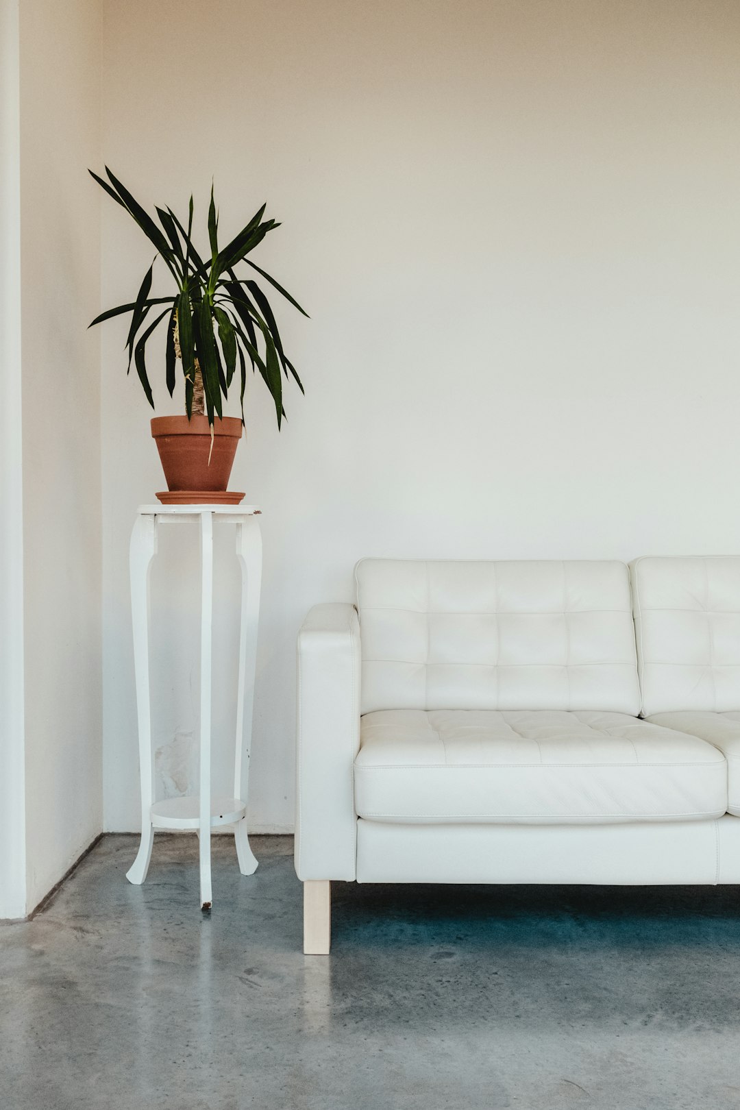 A white leather sofa and small side table with a potted plant on it, against the wall, in a simple interior design photography style, minimalism, front view, closeup, with a light gray concrete floor, soft lighting, clean background, no plants, high resolution, natural light, daylight, commercial photo, product display, high detail, sharp focus, taken with a Nikon D850 camera with a Nikon AFS f/2 lens. –ar 85:128