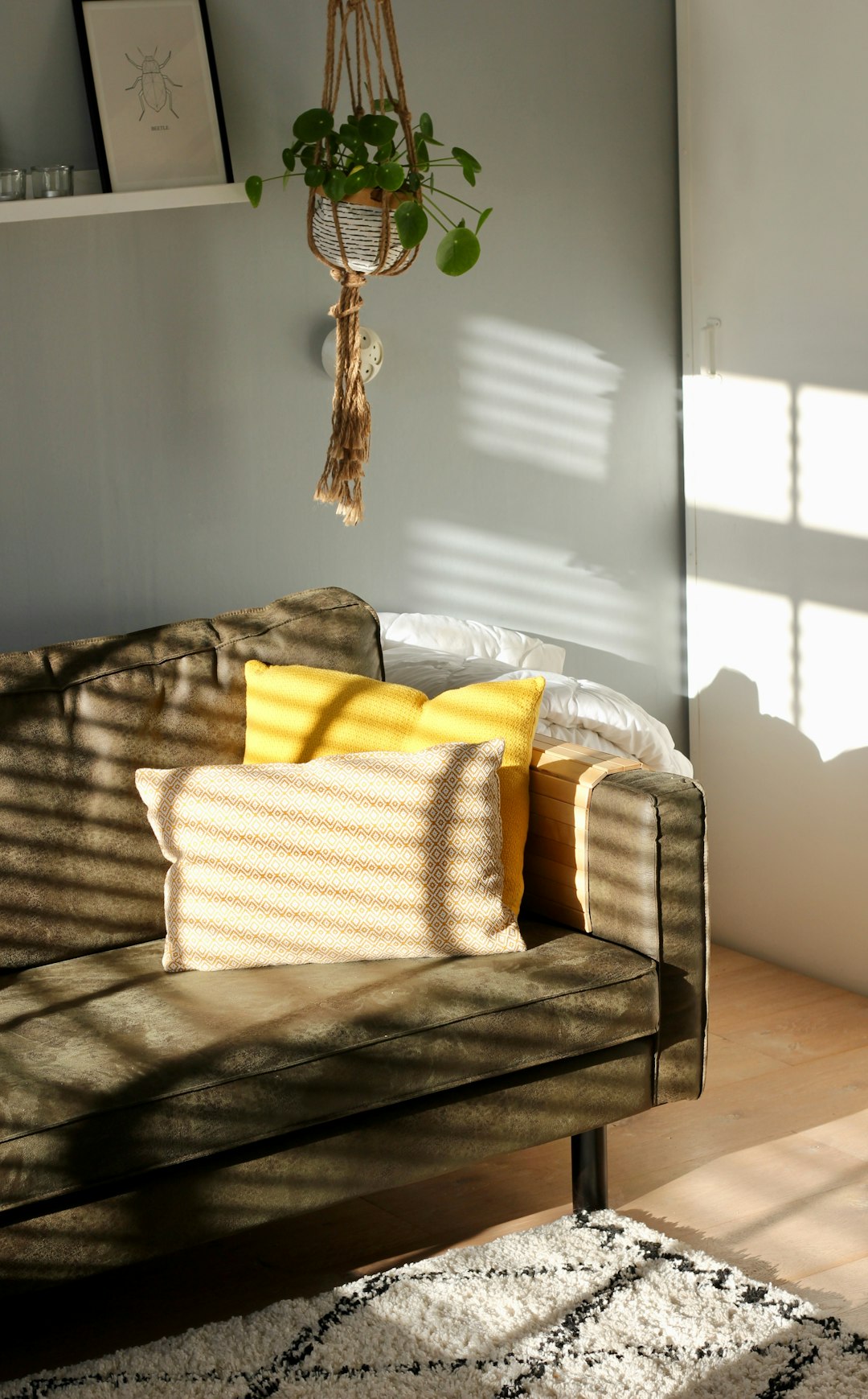 A photo of an olive green sofa with yellow pillows and beige striped throw in the living room, sunlight streaming through blinds creating sharp shadows on the walls, modern minimalist decor, cozy atmosphere, high resolution, taken in the style of Canon EOS, using a Leica lens. –ar 79:128