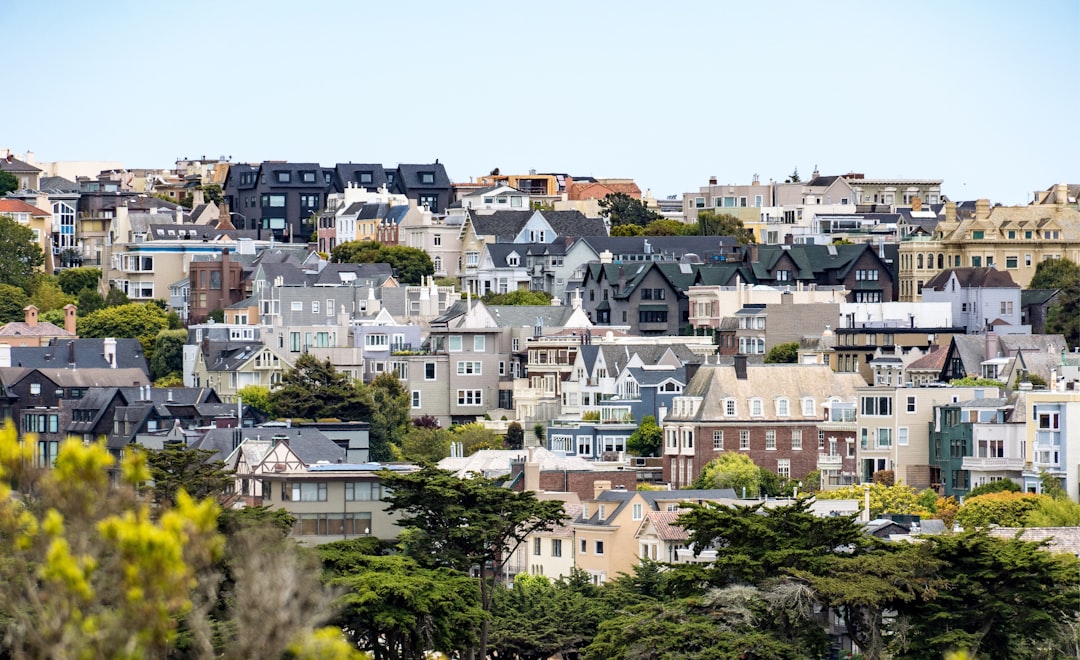 Photograph of a San Francisco residential neighborhood showing many houses on hills in a wide shot on a sunny day with a clear sky. Trees and plants are in the foreground with buildings in different styles visible in the background, painted in beige, brown, grey and white colors. –ar 64:39