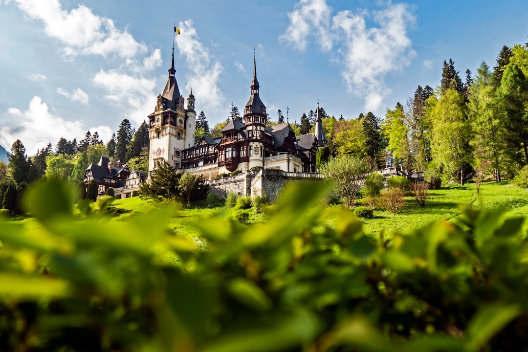 Photo of Peles Castle in almond colour, with green trees and blue sky in the background, sunny day, green grass in front of the castle, blurred foreground plants, high resolution photography, natural light, sharp focus, stock photo. –ar 128:85