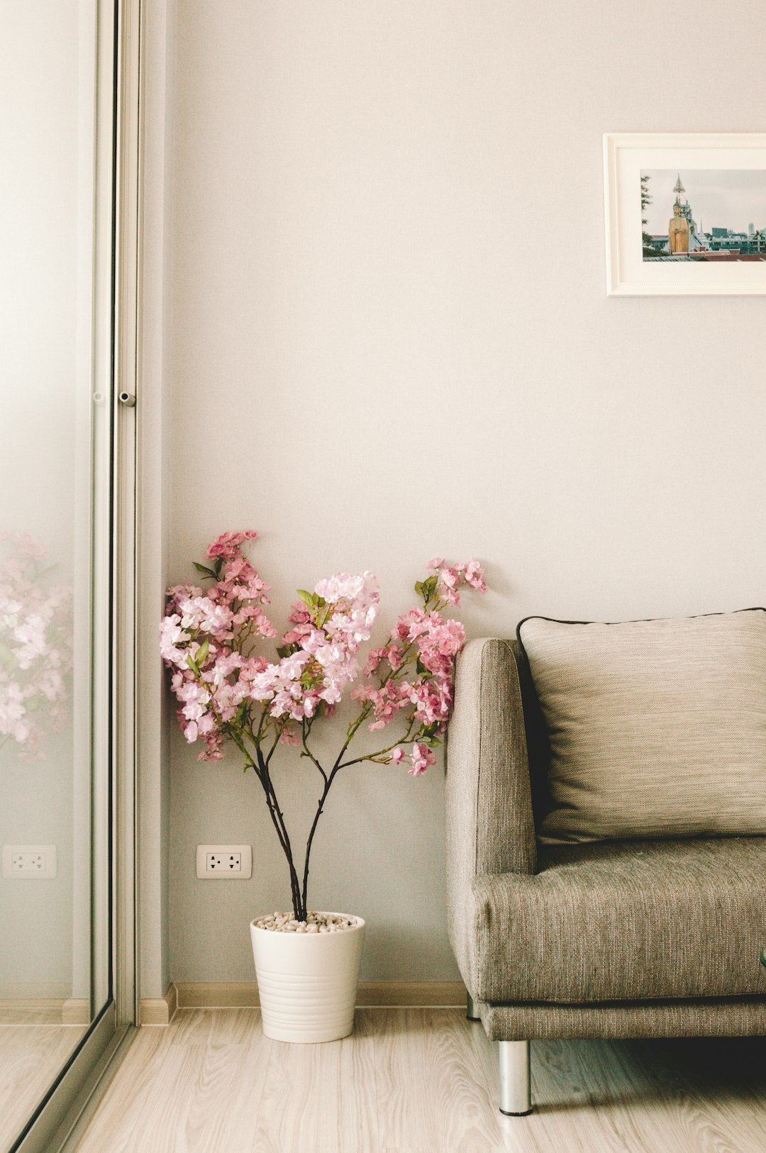 A small pink flower tree in the corner of an empty living room, with a sofa and floor-to-ceiling window behind it, against light gray walls, in the style of a photo with a warm tone.