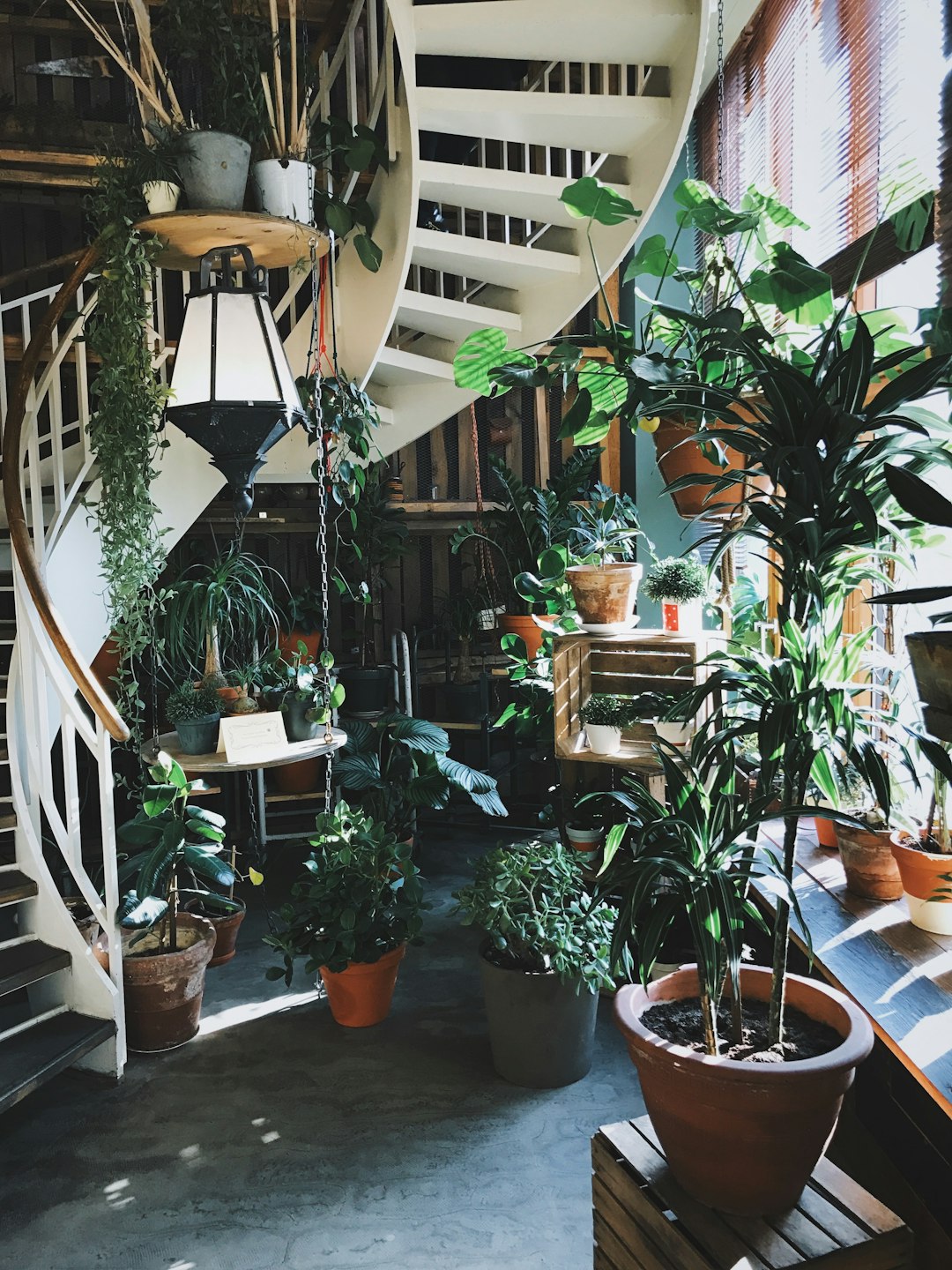 A photo of an industrial style plant shop with many plants, hanging pots and a wooden staircase. The space is filled with sunlight from large windows. There is a white spiral stairway in the back that leads to a second floor where there is another sunlit room full of greenery. –ar 3:4