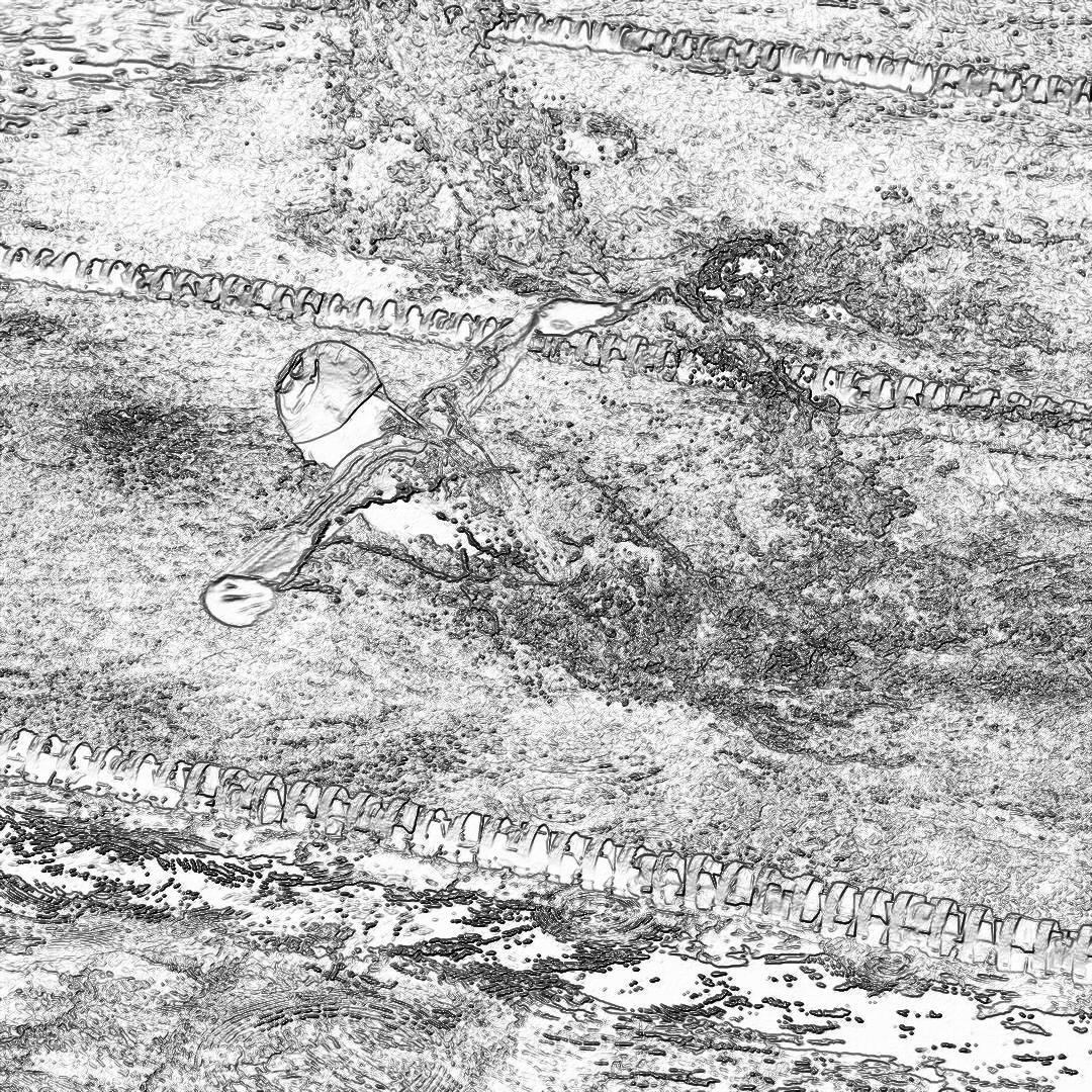 A black and white pencil sketch of an aerial view closeup of the top half of body with arms outstretched, lying on its back in water, showing clear skin texture details. The background is filled with detailed lines of fish scales and visible underwater flora. A small broken plastic toy glider lies next to it, adding depth to the scene. The drawing style should be simple yet expressive, focusing solely on capturing intricate textures without any shading or color