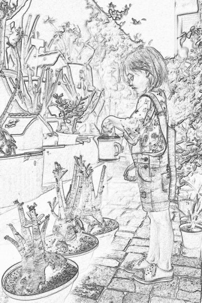 A girl is watering her potted plants in the garden. Various types of bonsai trees and flowers are around. Coloring Page for kids with thick lines, low detail, no greyscale, no background and no shading in the style of thick lines, low detail.