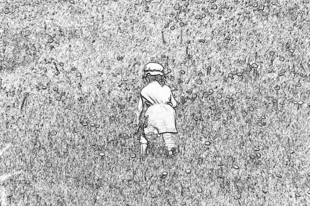 A little girl playing in the grass, full body, wide shot, high contrast, drawing style, high detail, white background, high resolution scan of an old black and grey pencil sketch from a book in the style of Effie Mén allred.