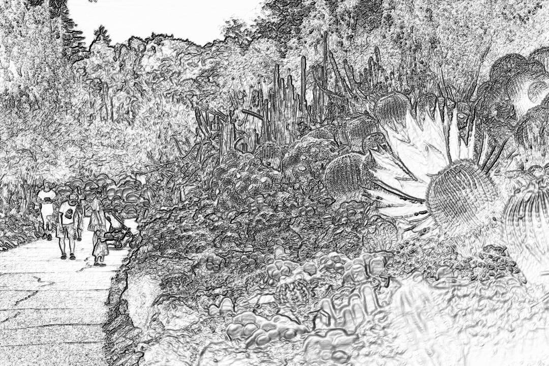 Black and white line drawing of tourists in the botanical garden, CangSparse rocks on both sides, there is an old dragonshaped stone wall at one end with some small plants growing around it, there was also a large tree beside that rock , Beautiful flowers blooming all over the ground, there were several people taking pictures next to them, high definition photography, high resolution