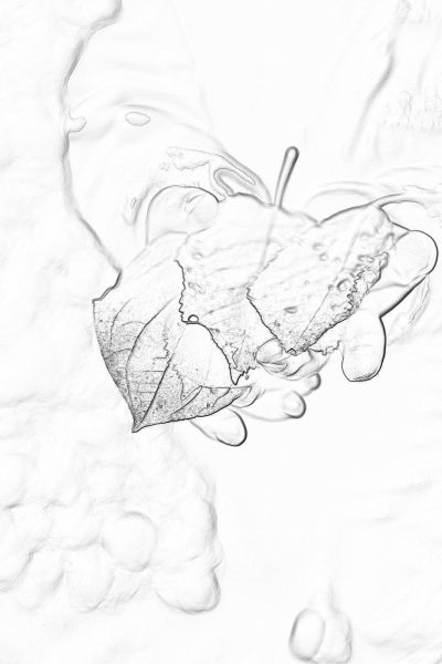 A delicate leaf floating on the water, sketched in pencil with clear lines and details, surrounded by soft ripples of crystalclear white sand, evoking tranquility and nature's beauty., focus stacking, logo design style, high resolution, coloring page for adults, greyscale