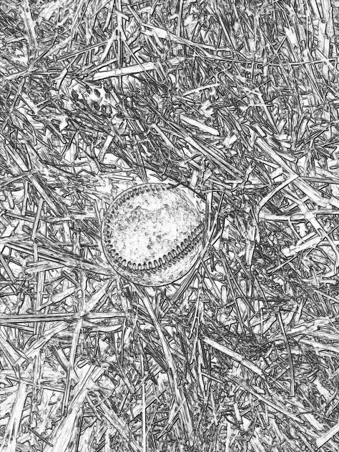 A detailed black and white sketch of an old baseball lying on the grass, surrounded by long straws, emphasizing its texture in high resolution. This would be perfect for scrapbooking paper or coloring pages. The ball is placed at one end of a field with scattered straw around it, capturing every detail from the leather surface to intricate stitching patterns. This scene creates a sense of nostalgia as if you were looking down onto that game day, in the style of a realistic sketch.