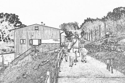 A black and white line drawing of people walking on a path leading to an urban farm with animals, barns, trees, and grassy hills in the background. The farmer is holding his dog while riding down towards them from behind. They have their backs turned as they walk away. It is a sunny day with a clear sky. There should be buildings visible at the far end of the farm landscape. In the style of vintage line art. Black ink outline only, without color. No shading or texture. High resolution.