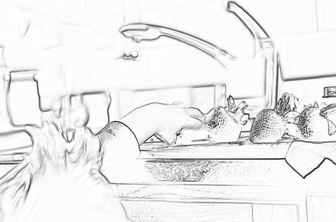 A black and white storyboard sketch of an extreme close up shot of strawberries being washed in the kitchen sink in the style of two dogs.