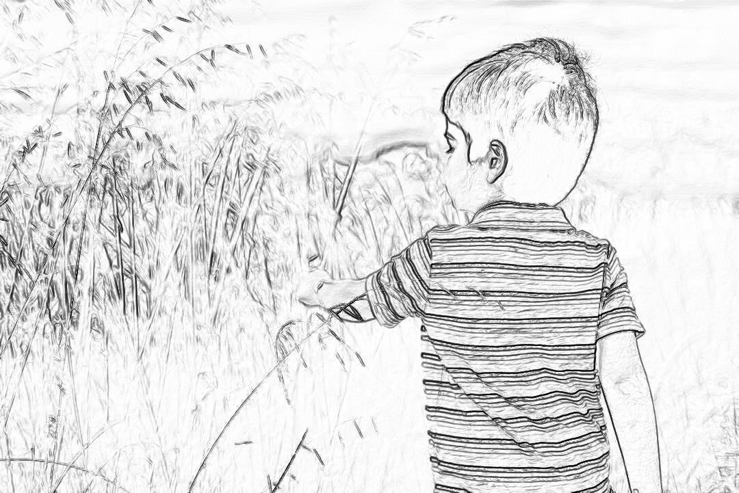 Black and white storyboard line rough sketch, simple pencil drawing of a young boy in a striped t-shirt is playing with his pet dog on a grassy field. The sun shines brightly through tall reeds, casting long shadows over them. He has short hair and looks back at us with an expression that reflects playfulness and joy, in a wide shot.