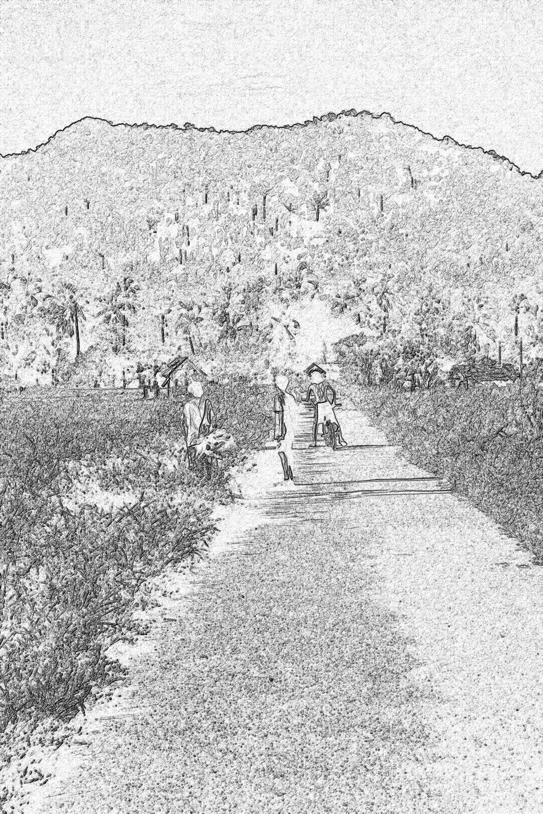 sketch of the road to Chardese Bay, with hand drawn people working in an orchard plantation on both sides of it, hills behind them, in the style of a pencil drawing with simple lines, depicted in black and white, monochrome, having a vintage feel, with simple details.