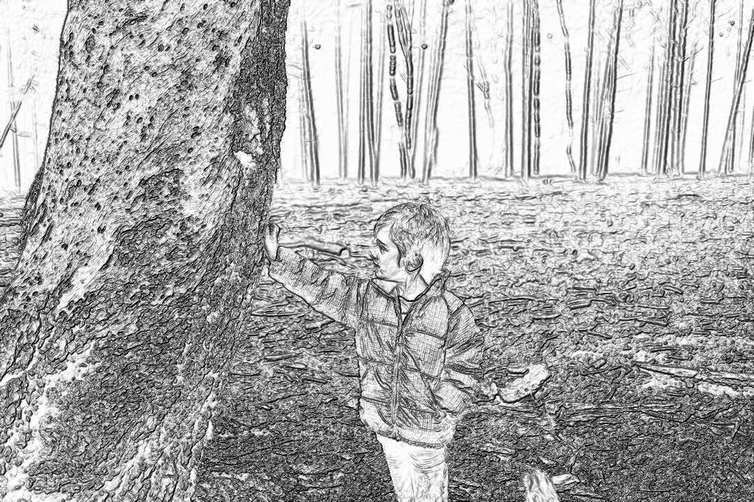 Black and white sketch of a young boy in the woods, standing next to a tree with his hands on the trunk pouring honey into a small bowl hanging from a branch, the forest floor covered in fallen leaves, distant trees creating a dappled light effect, capturing a moment frozen in time, focus on the detailed drawing of the child’s face showing excitement for enjoying the natural product. The sketch is in the style of a realistic artist.