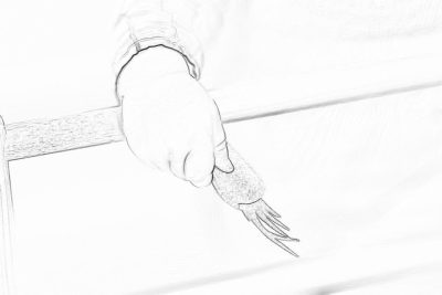 A simple line drawing of an arm with the hand on top, wearing gloves and holding onto the side bar of a bed frame. The background is white, creating contrast between lightness and darkness. It has clear lines and only one finger visible in closeup., focus is on showing just that single clawed fingers. No body or face shown.