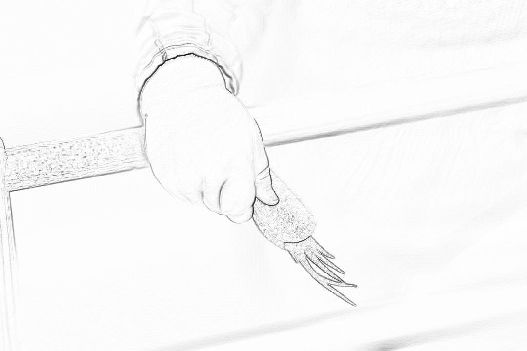 A simple line drawing of an arm with the hand on top, wearing gloves and holding onto the side bar of a bed frame. The background is white, creating contrast between lightness and darkness. It has clear lines and only one finger visible in closeup., focus is on showing just that single clawed fingers. No body or face shown.