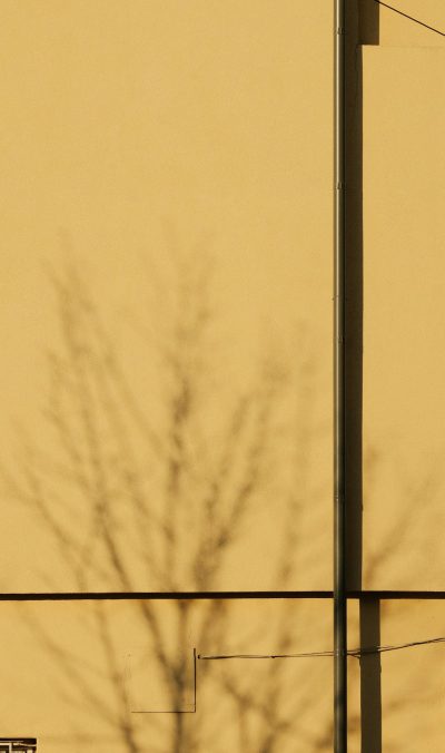 Minimalist photo of shadows on an abstract wall, minimalism, yellow color palette, simple shapes, urban landscape, trees, wires, street lamp pole, negative space, shot in the style of Leica M6. --ar 75:128