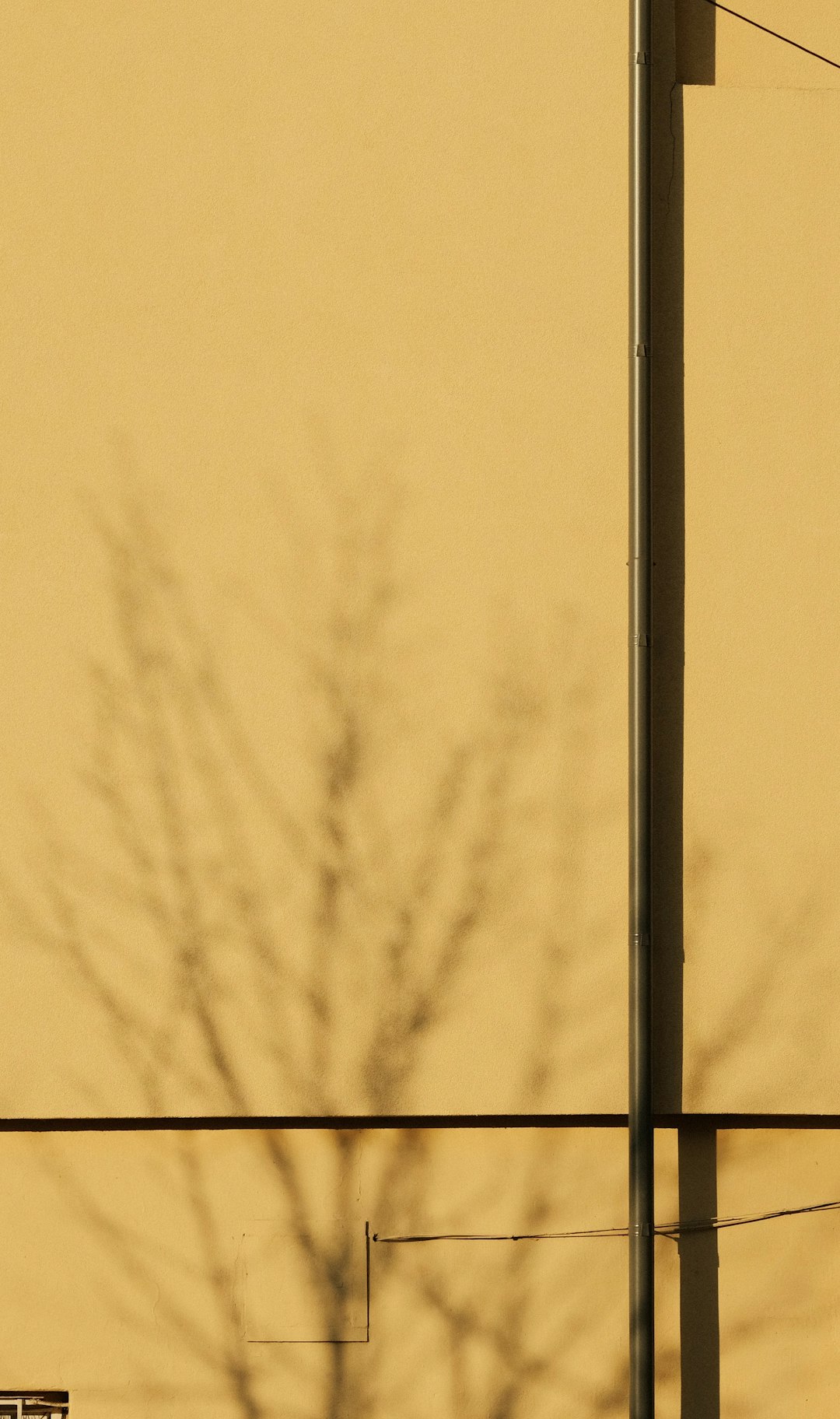 Minimalist photo of shadows on an abstract wall, minimalism, yellow color palette, simple shapes, urban landscape, trees, wires, street lamp pole, negative space, shot in the style of Leica M6. –ar 75:128