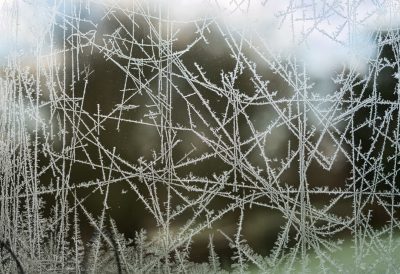 Frosty patterns on window glass, delicate lines of hoarfrosted spider webs in the style of spider webs. --ar 128:87