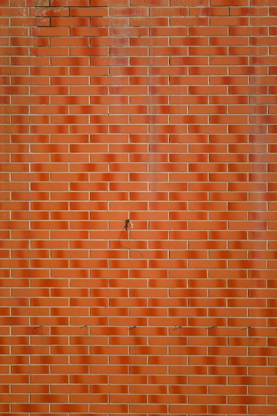 A red brick wall with a small crack in the center, creating an interesting texture and pattern. The background is solid orange to highlight the hole on the wall. This scene could be used as a design element or graphic for various purposes such as architectural visuals, interior decoration, or commercial advertising. Red bricks wall with tiny crack. --ar 85:128