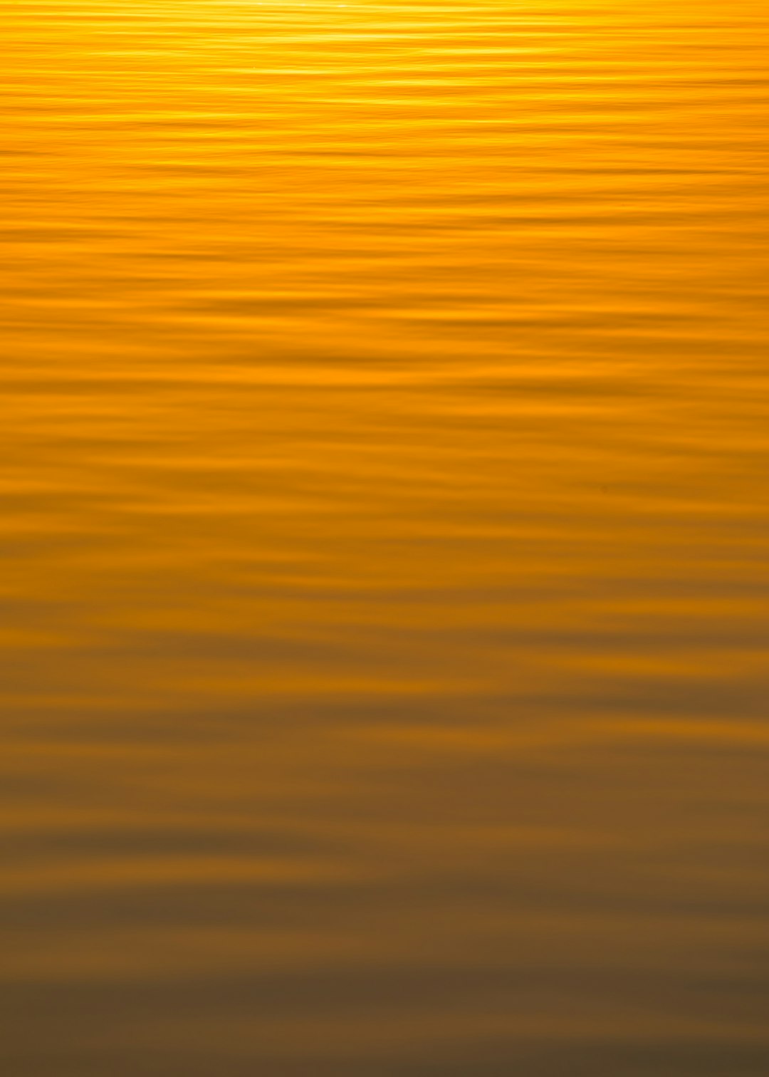 Golden sunset light reflecting on the water surface, creating ripples and golden stripes in an abstract background. The image has soft tones of orange to yellow with no visible objects or textures. It’s a highresolution, highquality photo that captures the serene beauty of nature at dusk. This is suitable for artistic or design purposes, such as a wallpaper or banner. –ar 91:128