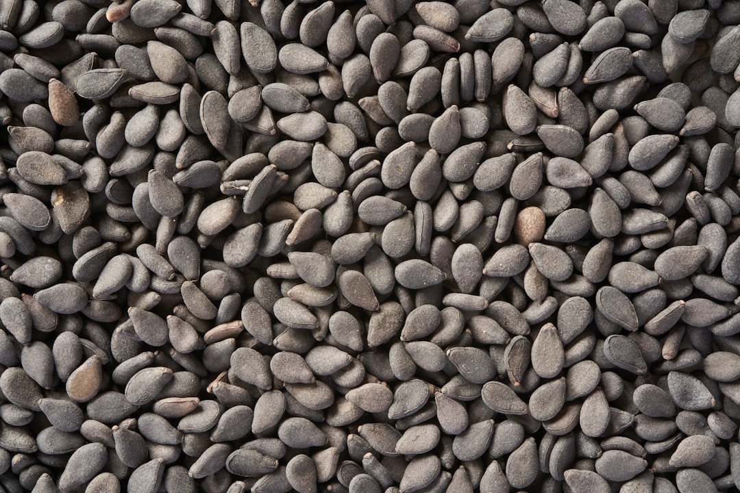 Black Wu Guo seed, seamless texture of black wu guang seeds for background or wallpaper, top view –ar 128:85