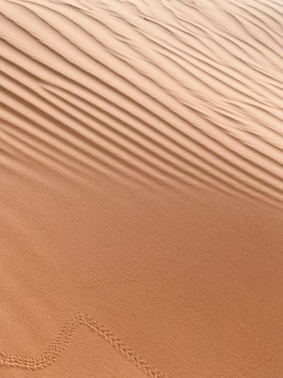 A closeup of the dunes in Al Ula, Saudi Arabia with small ripples and lines on them. The background is a warm brown color. In front there is an empty space for text or product display. There should be no shadows. This photo was taken from above at eye level. --ar 3:4