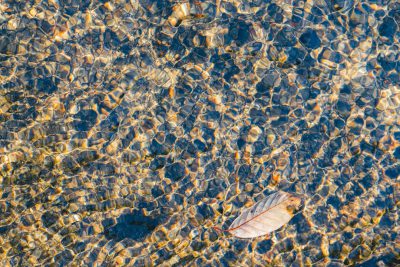 The clear water surface reflects the ripples and small stones, with an autumn leaf floating on it. The sunlight shines through to create transparent patterns of light and shadow in the crystal clear river water. High angle overhead view. Shot in the style of Sony Alpha A7 III camera using G Master lens, panoramic perspective. Bright colors and soft lighting enhance the beauty of nature. Professional photography style. Ultra high definition. Realistic details. --ar 128:85