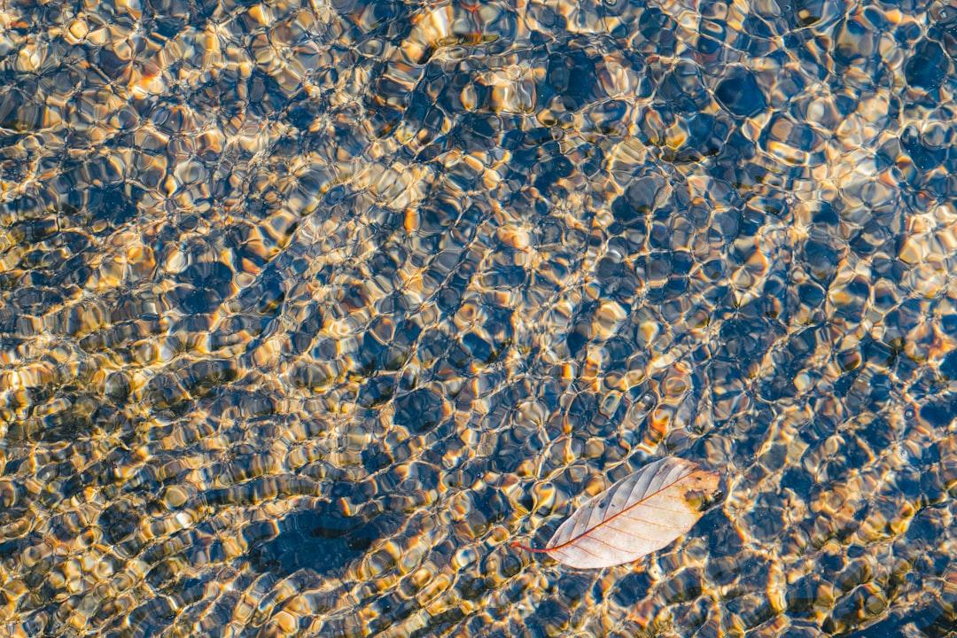 The clear water surface reflects the ripples and small stones, with an autumn leaf floating on it. The sunlight shines through to create transparent patterns of light and shadow in the crystal clear river water. High angle overhead view. Shot in the style of Sony Alpha A7 III camera using G Master lens, panoramic perspective. Bright colors and soft lighting enhance the beauty of nature. Professional photography style. Ultra high definition. Realistic details. –ar 128:85