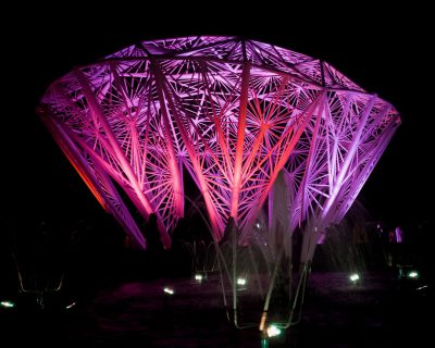 A purple diamond-shaped pavilion with laser light projections of bamboo leaves and water splashes depicting a night scene, architectural photography in the style of a spectacular background with high resolution. --ar 64:51