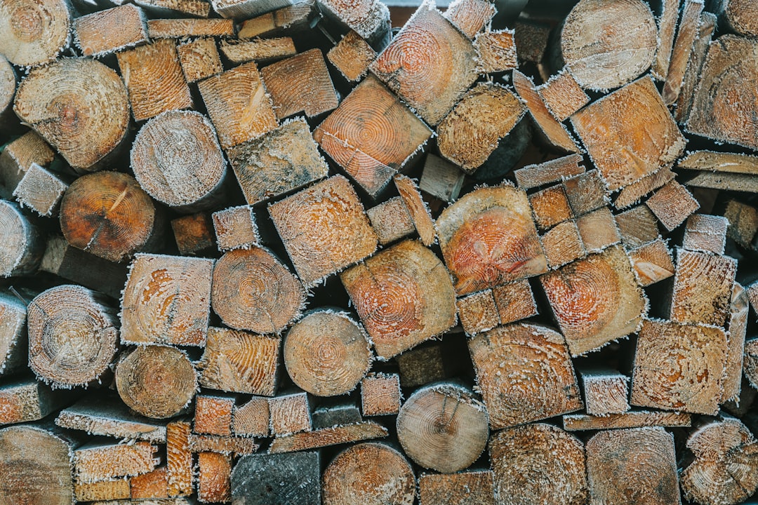 close up of stacked firewood, frozen wood, top view, flat lay –ar 128:85