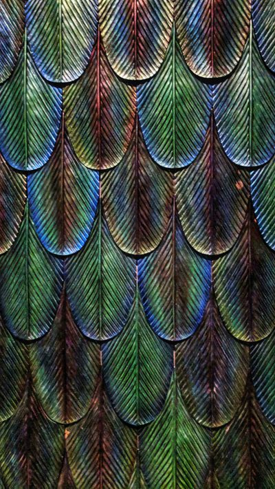 A pattern of symmetrical feathers, their colors ranging from deep green to blue-green, resembling the scales on an iridescent peacock tail. The background is a rich tapestry of forest greens and blues, with subtle lighting effects creating depth in each feather's texture. This design would be perfect for high-end fashion or luxury home decor, offering both style and elegance in the style of a master artist. --ar 9:16