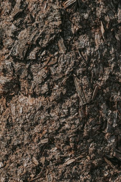 Dark brown bark with many wood chips, closeup, top view, high resolution photography, extremely detailed in the style of insanely detailed --ar 85:128