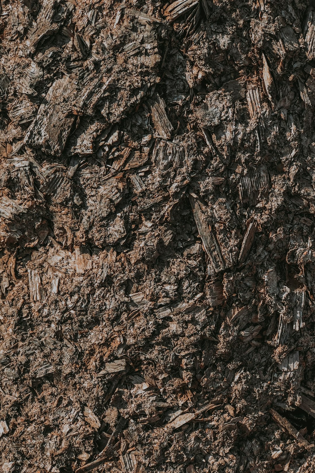 Dark brown bark with many wood chips, closeup, top view, high resolution photography, extremely detailed in the style of insanely detailed –ar 85:128