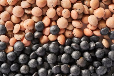 Closeup of black beans and brown chickpeas, a top view of the two types of legumes on a white background, flat lay photography, macro shot, professionally color graded, no contrast, clean sharp focus, stock photo quality. --ar 128:85