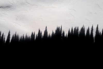 A black silhouette of pine trees on a white background, a minimalist painting in the style of James Van Viking. --ar 128:85