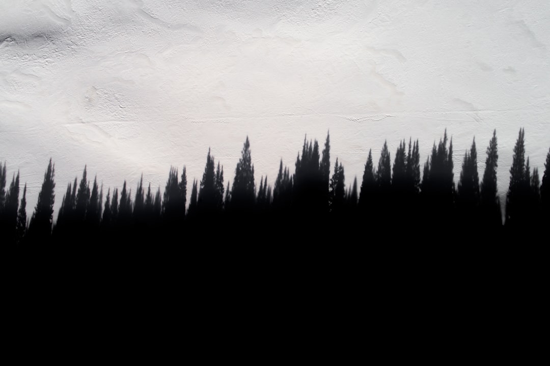 A black silhouette of pine trees on a white background, a minimalist painting in the style of James Van Viking. –ar 128:85