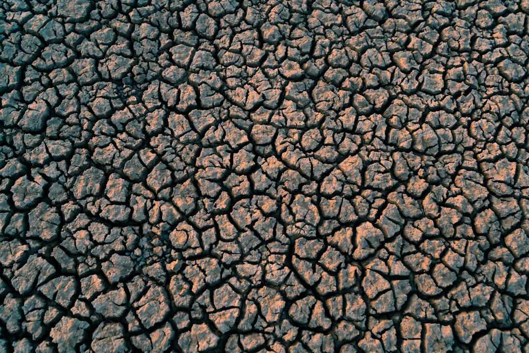 A top-down view of cracked earth, symbolizing the effect on soil under intense heat and dust conditions. The cracks represent dryness in nature, emphasizing how climate change can have an impact on plant life. –ar 128:85