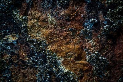 Rust and moss texture, high resolution photography, insanely detailed, fine details, stock photo, professional color grading, award winning composition, dark tones, cinematic photography. --ar 128:85