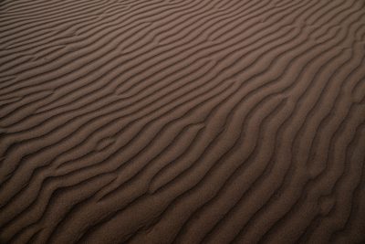 photograph of dark brown sand ripples, desert background --ar 128:85