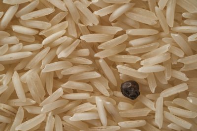 a macro photo of long white rice grains with one single black seed in the center, --ar 128:85