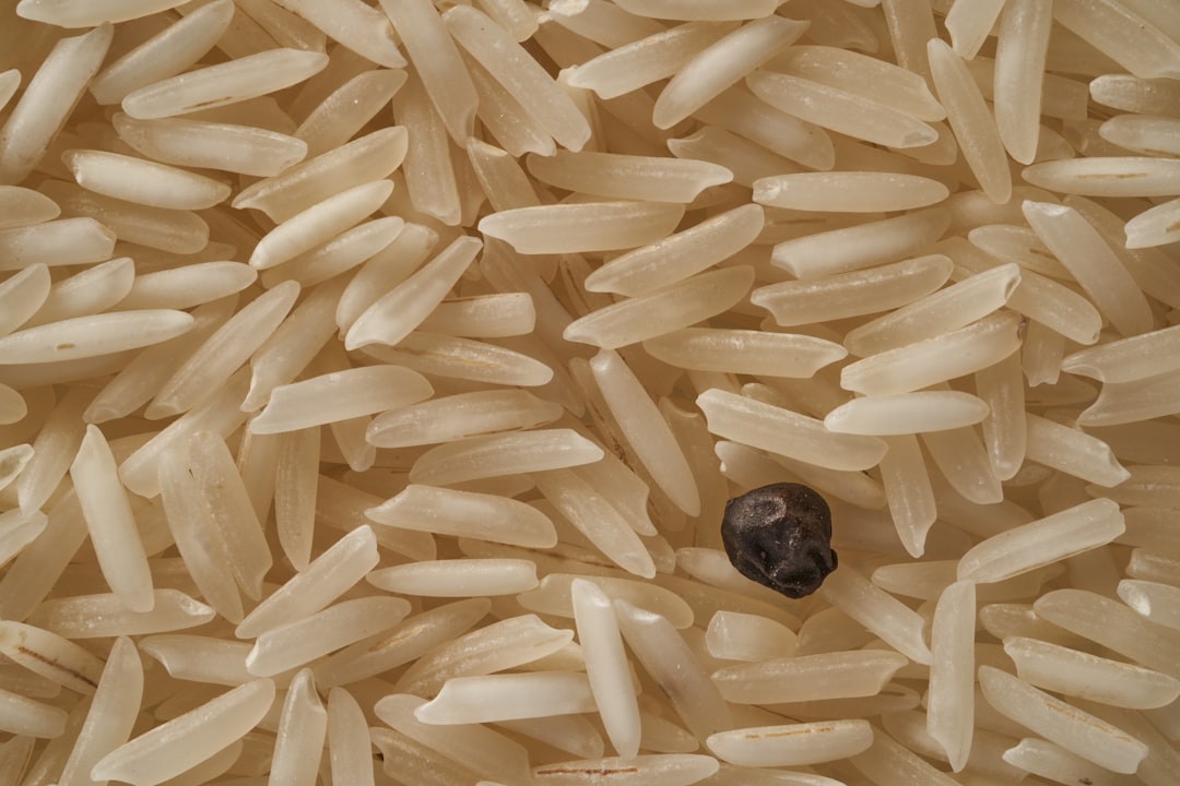 a macro photo of long white rice grains with one single black seed in the center, –ar 128:85