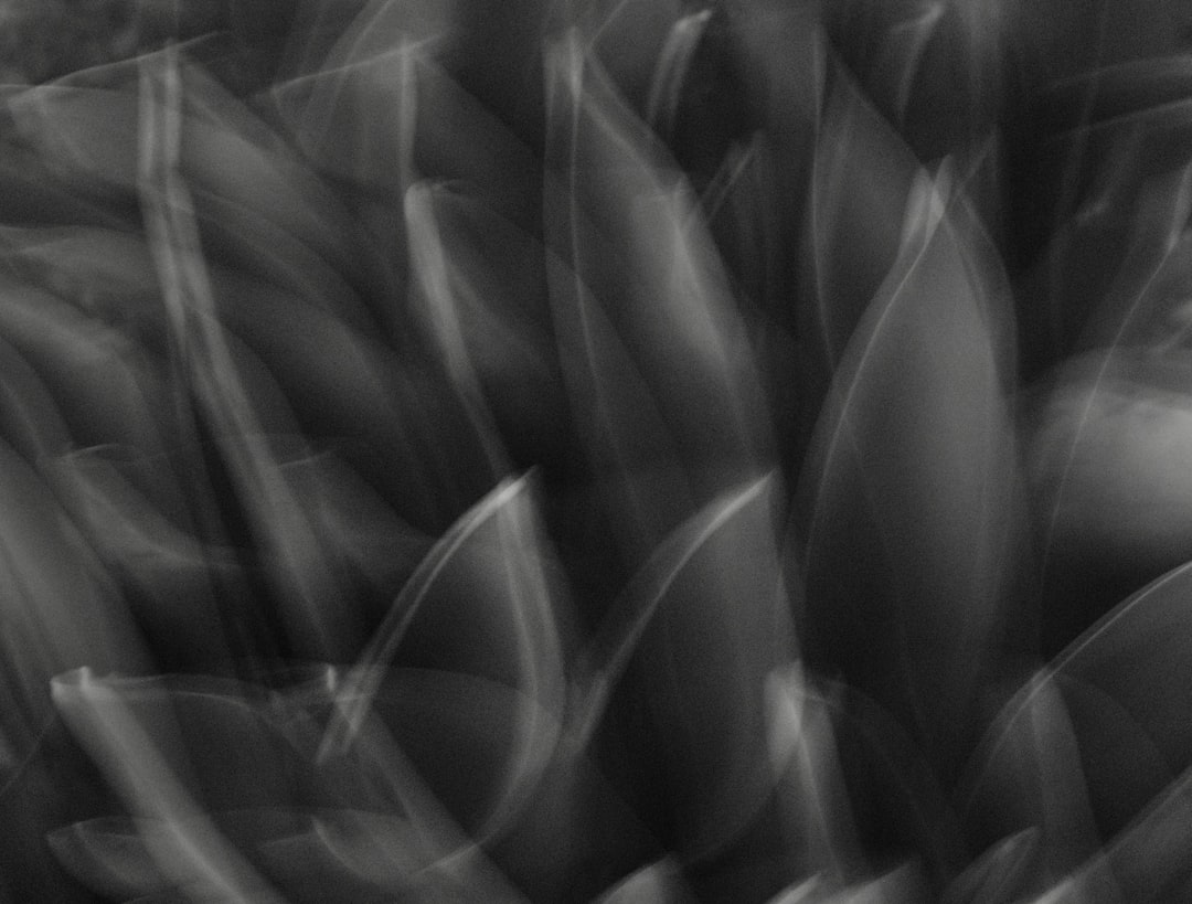 Abstract blurry black and white photograph of leaves, creating an impressionistic pattern with the motion blur effect. –ar 128:97