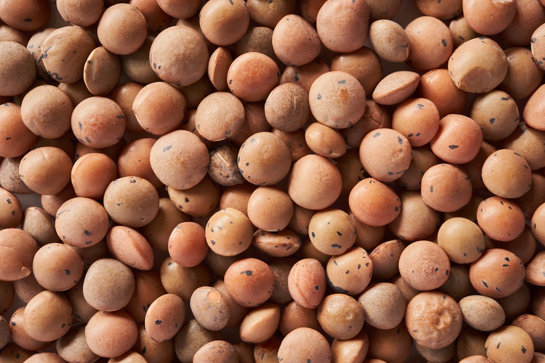 top view of brown Japan mythical alien tiny shiny round seeds, macro photography, texture background, pattern, seamless pattern image –ar 128:85