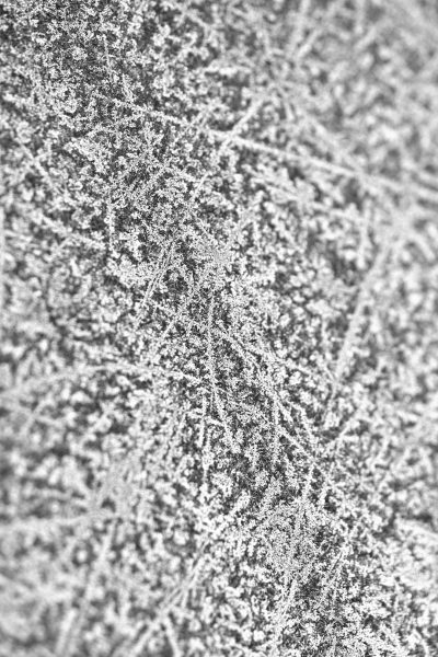 A close up of frost on the ground, in grayscale, with high resolution and high detail, in the style of a print, with a print texture and print effect, in a hyper realistic and monochrome style. --ar 85:128