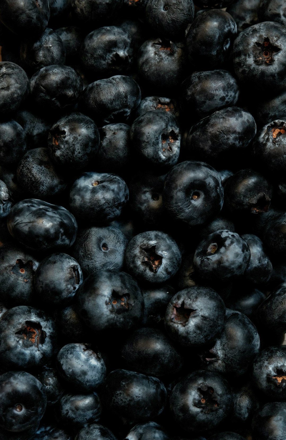 A pile of fresh blueberries, shown close up with a dark background, photographed from a top view. The high resolution and high detail macro stock photo captures the scene in the style of photography. –ar 83:128